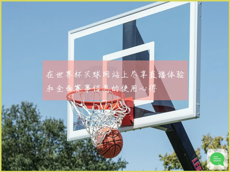 在世界杯买球网站上尽享直播体验和全面赛事信息的使用心得