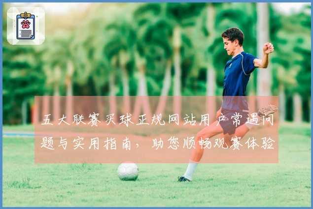 五大联赛买球正规网站用户常遇问题与实用指南，助您顺畅观赛体验