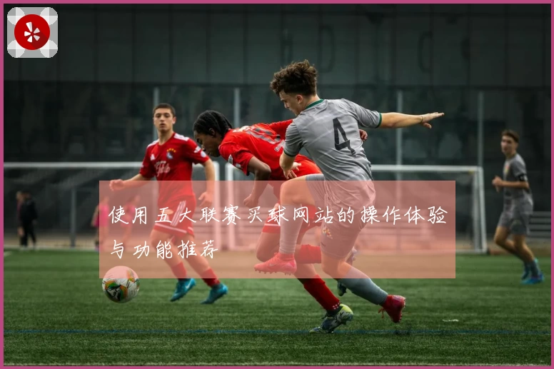 使用五大联赛买球网站的操作体验与功能推荐
