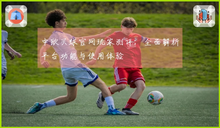 中欧买球官网玩家测评：全面解析平台功能与使用体验