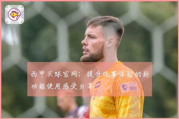 西甲买球官网：提升观赛体验的新功能使用感受分享