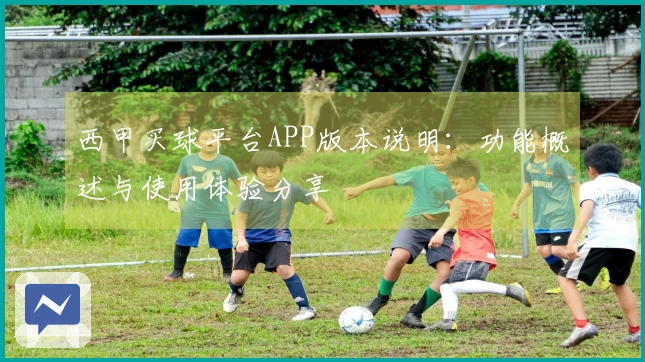 西甲买球平台APP版本说明：功能概述与使用体验分享